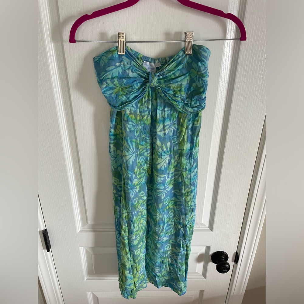 Blue Ginger dress